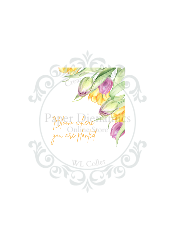 (140GSM) A4 FLORAL TOPPER INSERT - Image 7