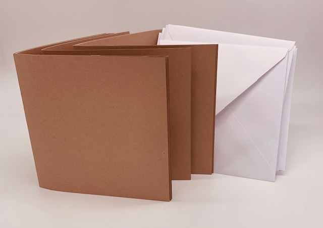 (270G) 8X8 MUSHROOM OTTER CREASED CARD/ENV 16/16