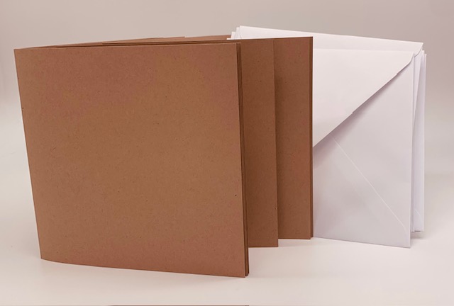 (270G) 8X8 MUSHROOM OTTER CREASED CARD/ENV 16/16 - Image 3