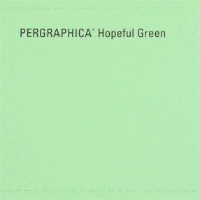 Pergraphica Hopeful Green Cardstock - 12x12 230gsm 25 sheets